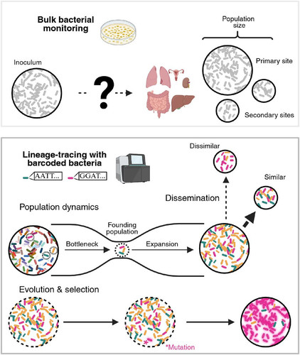 G KMI4nXsAAOa1o?format=jpg.jpg