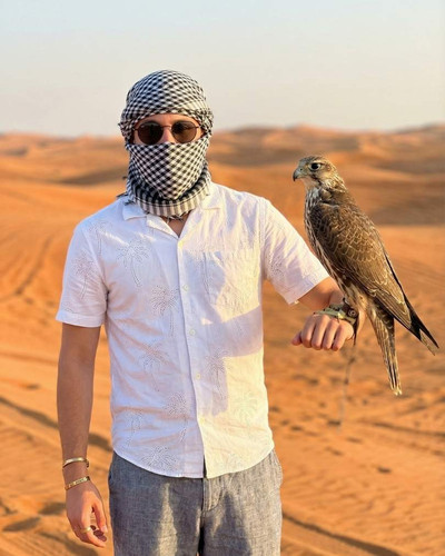 DESERT FALCON.jpg