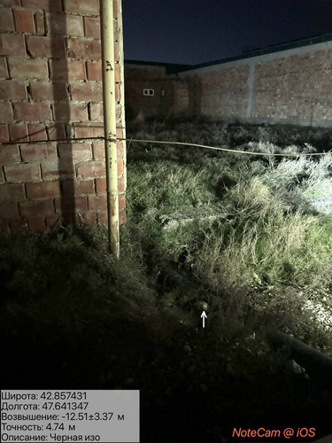 photo 10 2026 01 09 23 34 19.jpg