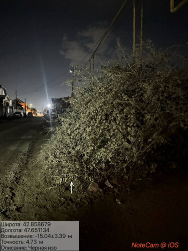 photo 6 2026 01 09 23 34 19.jpg