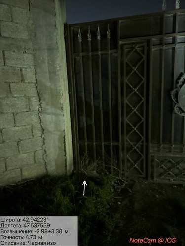 photo 18 2026 01 09 23 40 44.jpg