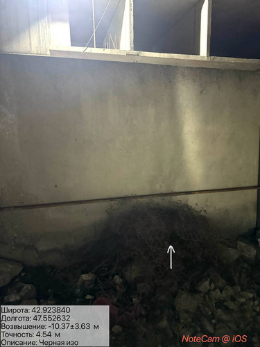 photo 6 2026 01 09 23 40 44.jpg