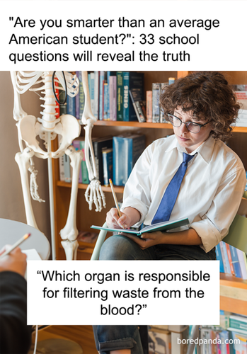 image (75).png