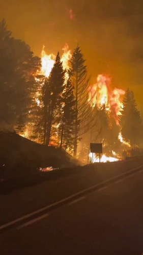 I1G cXmgSMdWjDor.jpg