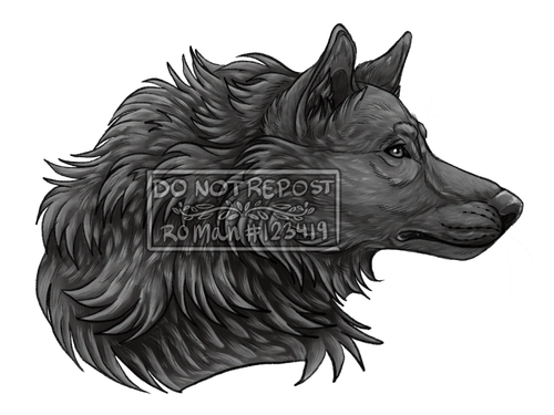 IMG 5307.png