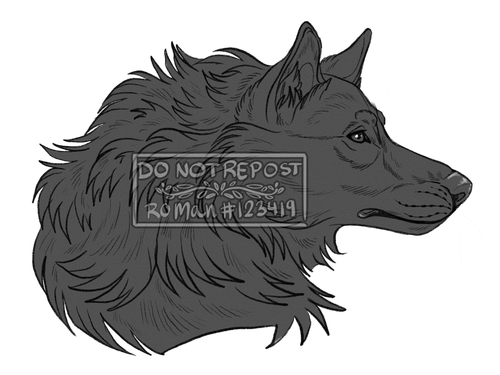 IMG 5308.png