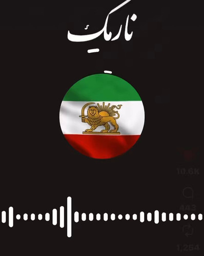 pB9YLSKkSGdfkvio.jpg