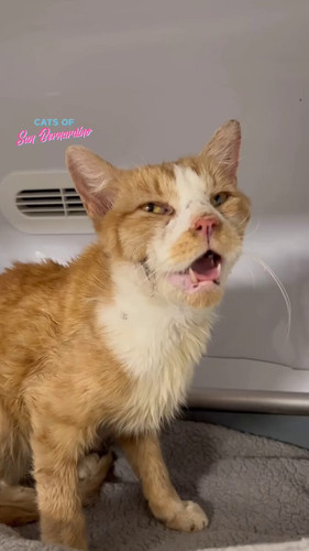 8iw9pTF2I hKTXUT.jpg