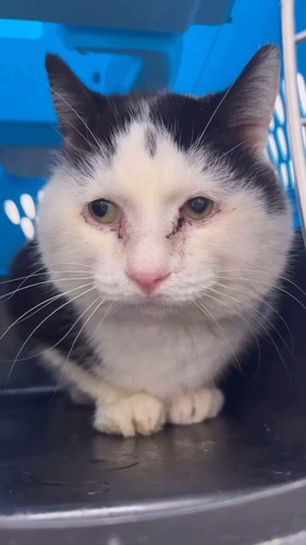 dZrfBkWZMalmuG o.jpg