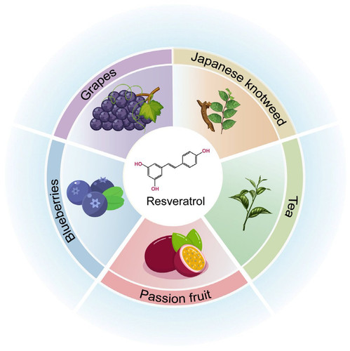 G N5vfyXQAAc0ho?format=jpg.jpg