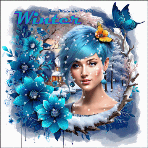 Winter time 700 out of ..gif