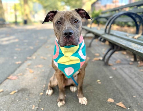 G BNG GbcAIsAW9?format=jpg.jpg