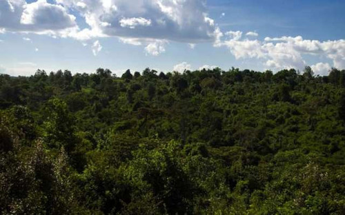 G Po4r1bcAAkxWY?format=jpg.jpg