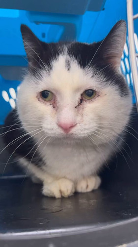 BoZ9wMXU EYHCttT.jpg