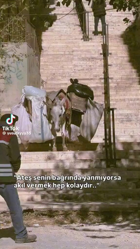 3bL O AZN5KBUI0v.jpg