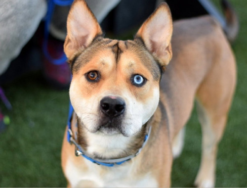 G Lh51 a0AALCnm?format=jpg.jpg