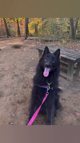 gL IhYbYuPu8CW0e.jpg