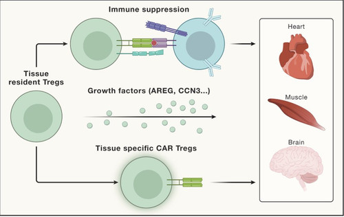 G J1K57XwAEn2lp?format=jpg.jpg