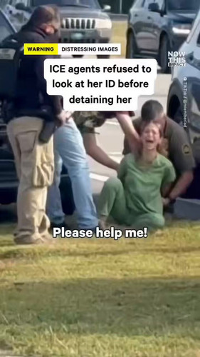 YLU0qJ1yJM Q cEo.jpg