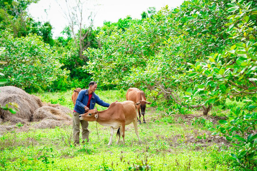 G O1EwAWoAEArJV?format=jpg.jpg