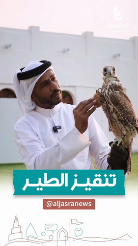 JDEGHGYnjyKrm k8.jpg