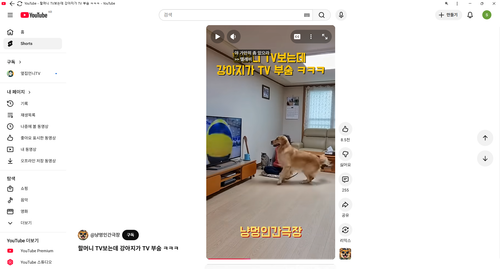 스크린샷 2026 01 10 192513.png