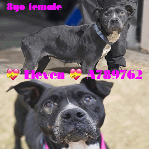 G OqBJ5WMAACsOQ?format=jpg.jpg