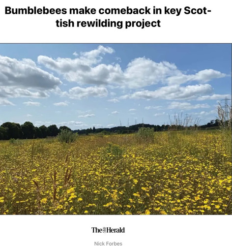 G NZamvWoAAJY6w?format=jpg.jpg