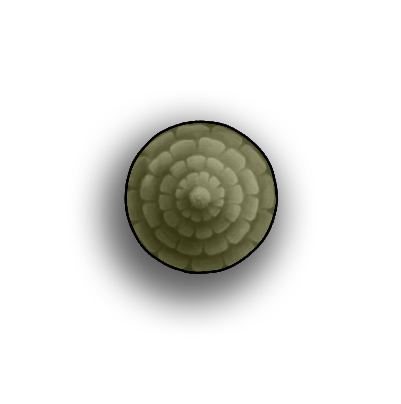 Circular Roof 1D.png