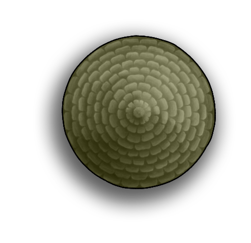 Circular Roof 3D.png