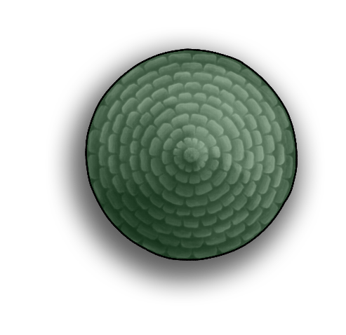 Circular Roof 3B.png