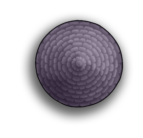 Circular Roof 3C.png