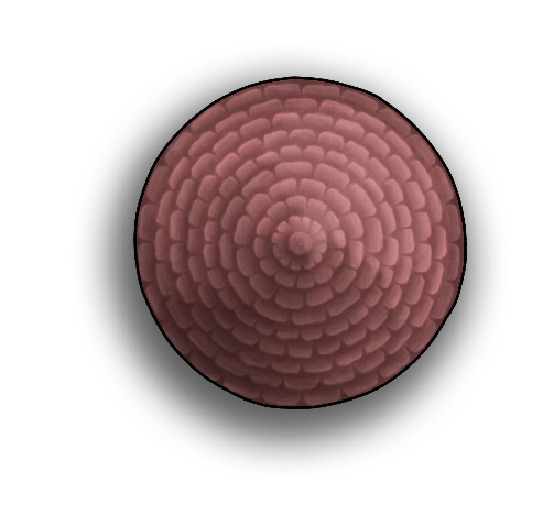 Circular Roof 3A.png