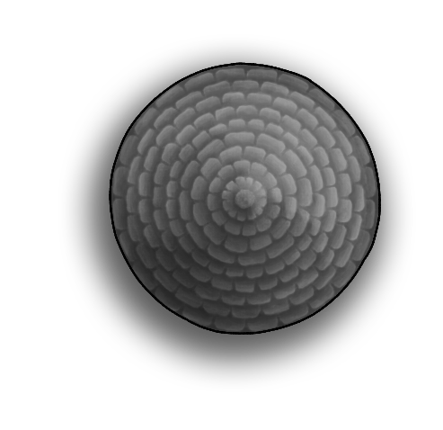 Circular Roof 3G.png