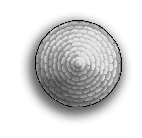 Circular Roof 3H.png