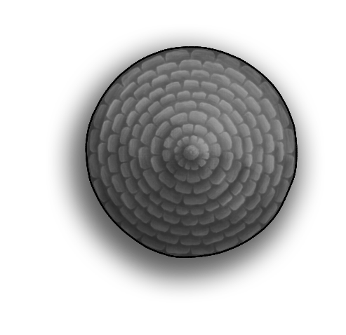 Circular Roof 4G.png