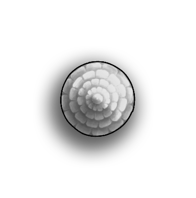 Circular Roof 2H.png