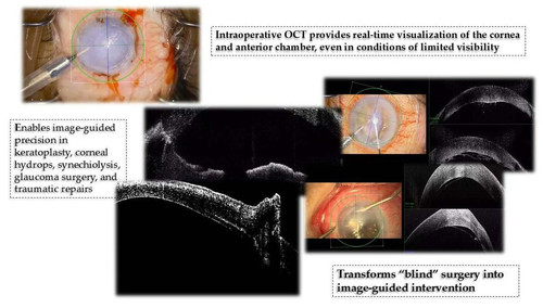 G9 2WuiXwAAgVE4?format=jpg.jpg