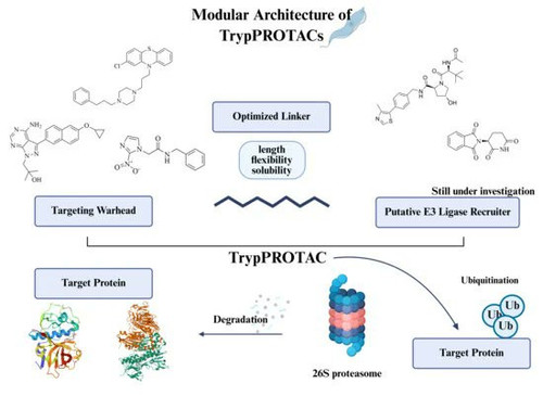 G Muwmla0AADAN0?format=jpg.jpg