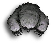 Owlbear.png