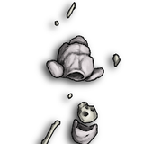 Skeleton 3