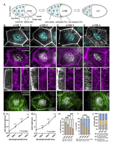 G PVuOLW4AAOThu?format=jpg.jpg