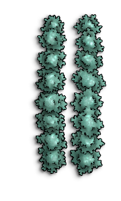 Crop Beans C.png