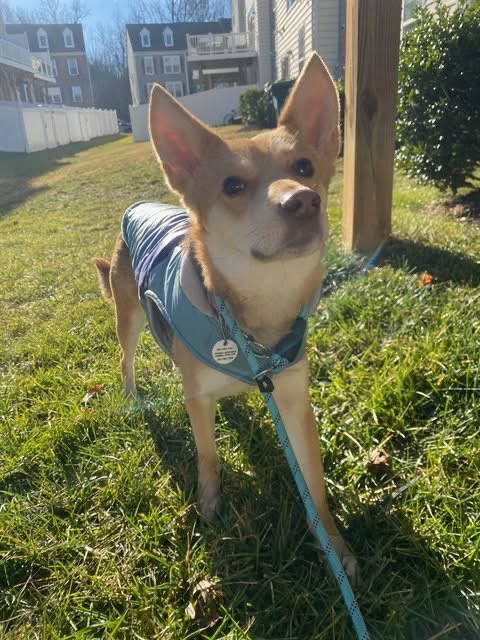 G KQw3TXoAEuDv9?format=jpg.jpg