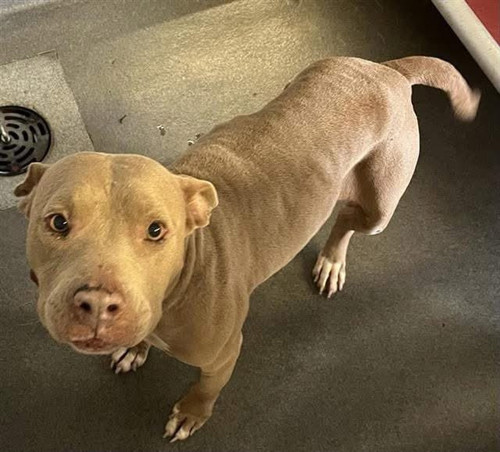 G OhC68WMAARGQP?format=jpg.jpg