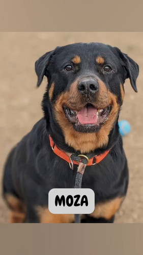 nledgU0x vKFxznf.jpg