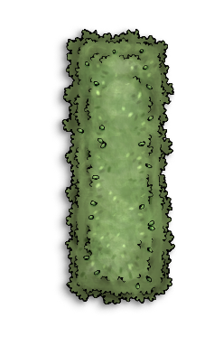 Crop Peas A.png