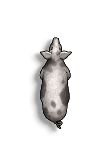 Livestock Pig B.png