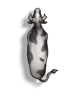 Livestock Cow B.png