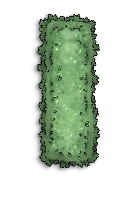 Crop Peas C.png